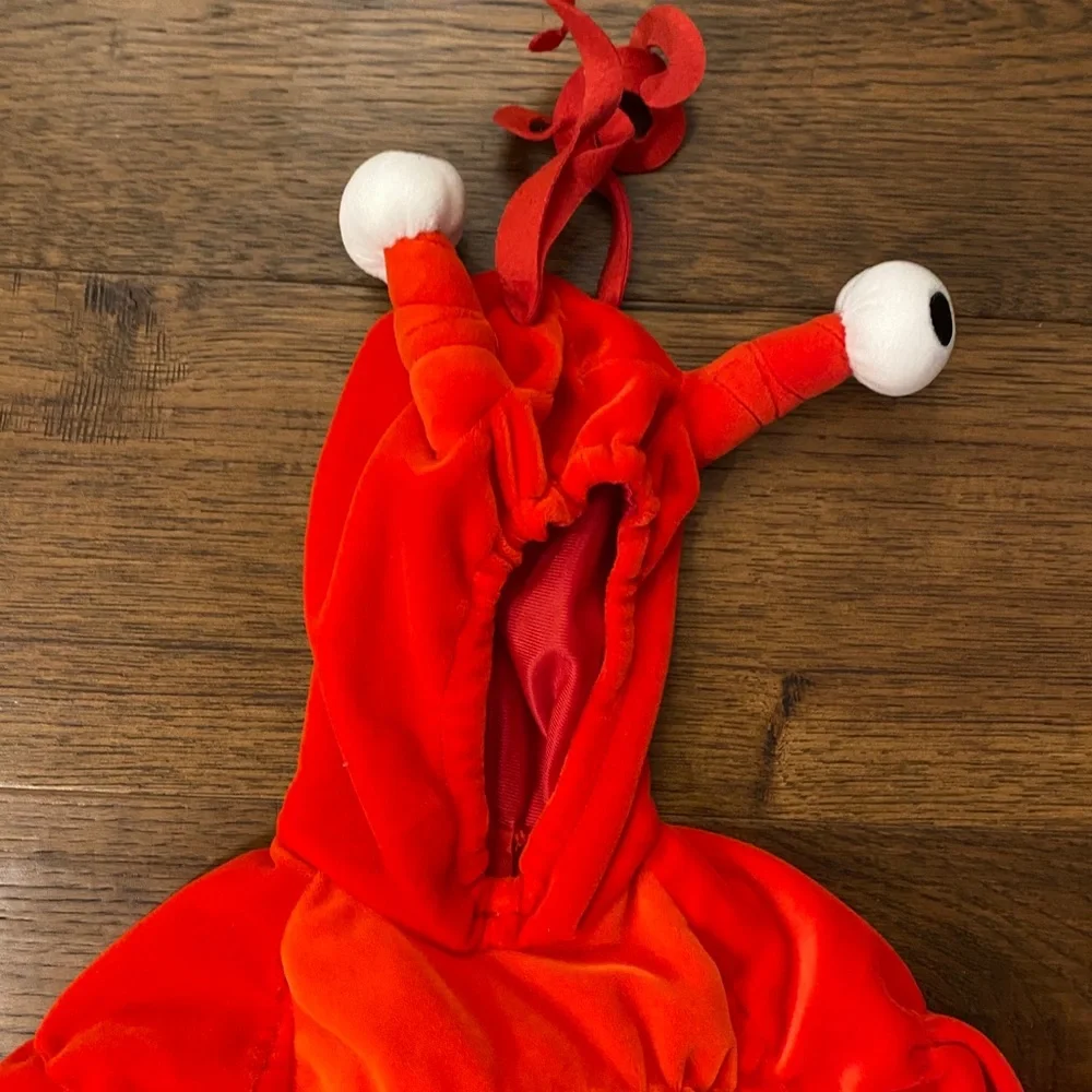 Lobster 🦞 Costume for Halloween